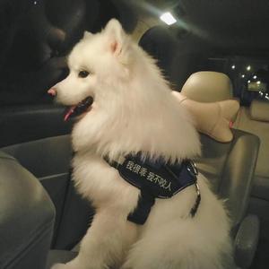 《初次深交流》电视剧双男主
